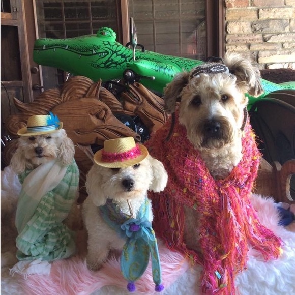 👜  Bijou’s Accessories!  🧳 - Picture 3 of 15